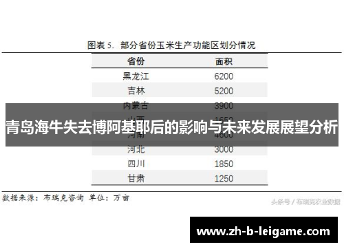 青岛海牛失去博阿基耶后的影响与未来发展展望分析