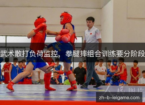 武术散打负荷监控，拳腿摔组合训练要分阶段